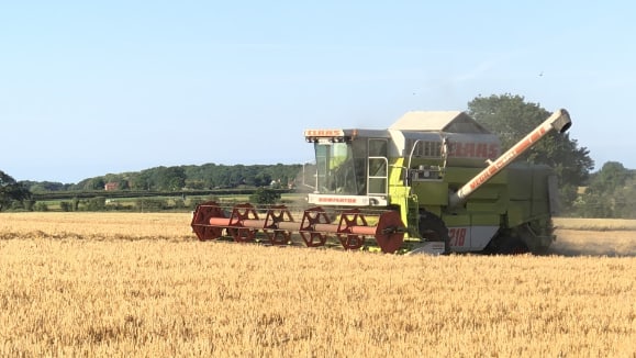Pest control for farms and stables in Norfolk and Suffolk